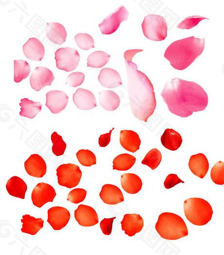 长胜证券 科创属性存疑、关联交易频发，暂缓审核的思科瑞IPO还能顺利吗？