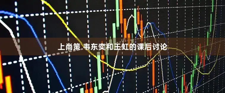 上尚策 韦东奕和王虹的课后讨论